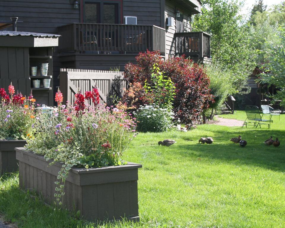 Inn On The Creek Jackson Eksteriør billede